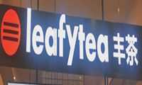 leafytea丰茶加盟