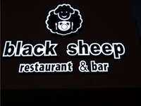 BlackSheep