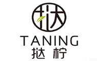 Taning挞柠·匠心柠檬茶