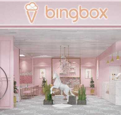 bingbox冰淇淋加盟店形象图