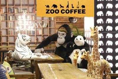 zoo coffee怎么样,zoo coffee加盟年利润多少