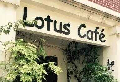 莲咖啡Lotus cafe加盟费多少,品牌加盟吗