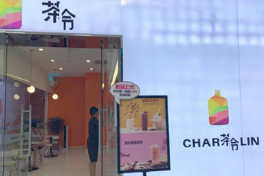 茶令charlin怎么样？总部会有扶持吗？